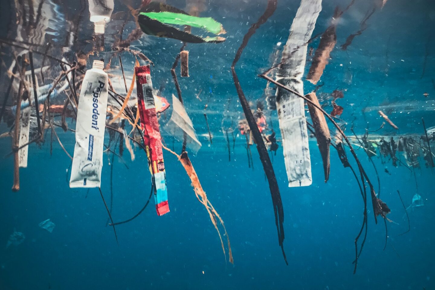 Mikroplastik w ściekach – czy oczyszczalnie potrafią go zatrzymać?